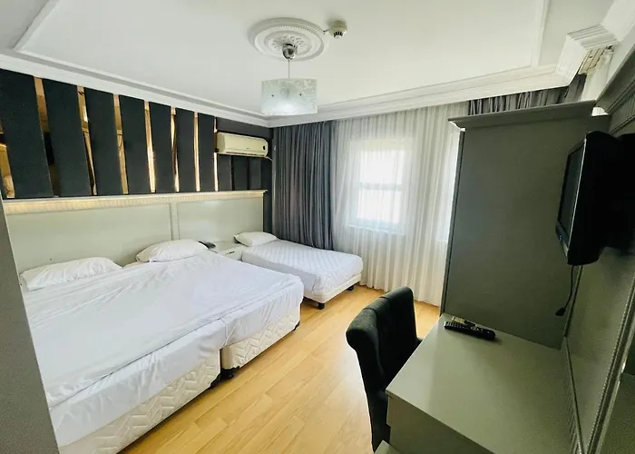 酒店 胡里耶特大酒店 伊斯坦布尔