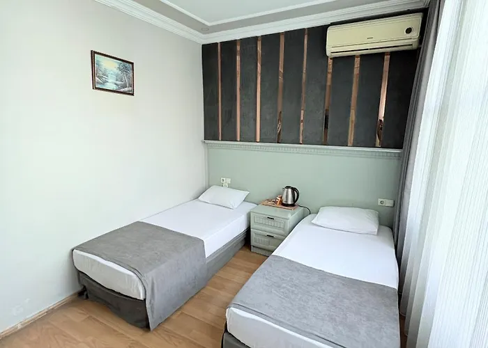 胡里耶特大酒店 *