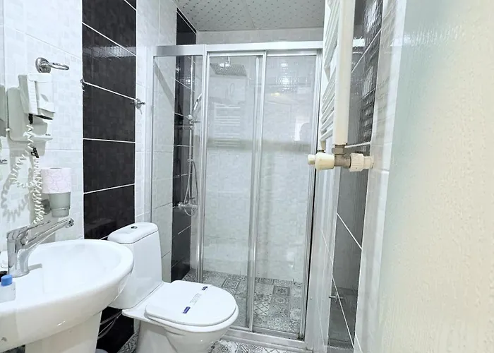 胡里耶特大酒店 * 伊斯坦布尔